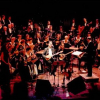 Фото В Лондоне сорвали концерт Израильского филармонического оркестра