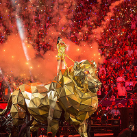 Фото Кэти Перри верхом на золотом тигре зажгла на Super Bowl 2015