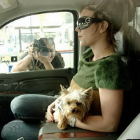 Фото Бритни Спирс тратит на собак больше, чем на себя